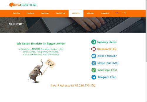 bighosting.support capture - 2025-07-17 08:17:15