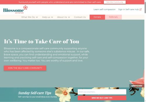 blossome.support capture - 2025-07-17 08:17:15