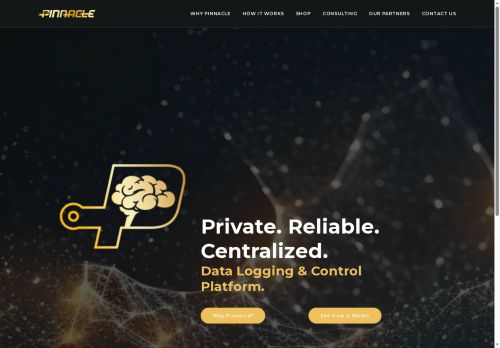 pinnacle.systems capture - 2025-07-17 08:50:48