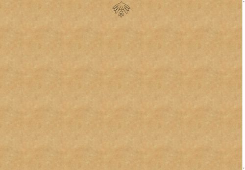 puravida.team capture - 2025-07-17 09:14:10