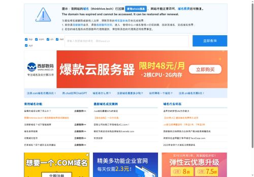 thinkhive.tech capture - 2025-07-17 11:32:49