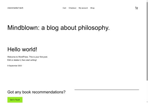 visionmedia1.tech capture - 2025-07-17 12:05:16