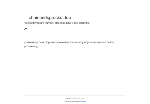 chainandsprocket.top capture - 2025-07-17 16:38:49