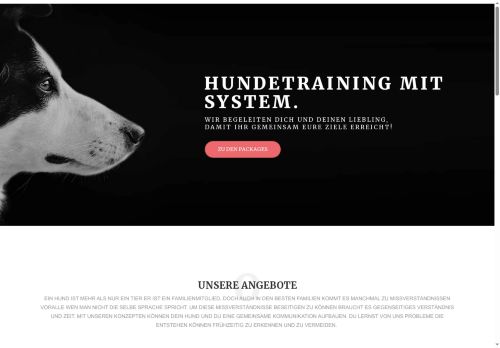 hund.training capture - 2025-07-17 20:45:46