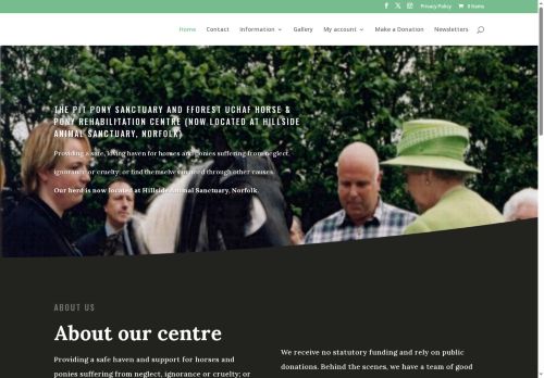 sponsorapony.co.uk capture - 2025-07-18 01:45:03