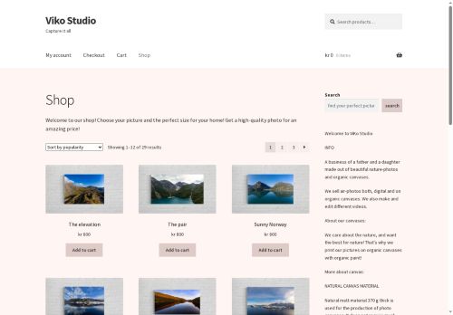 vikostudio.net capture - 2025-07-19 05:15:02