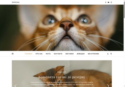 abyssiniancat.net capture - 2025-07-19 08:18:26