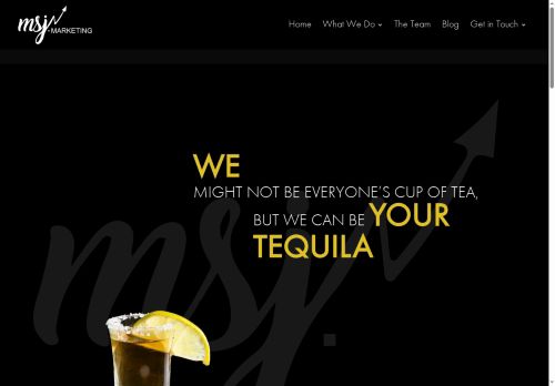 msjmarketing.net capture - 2025-07-19 09:39:25