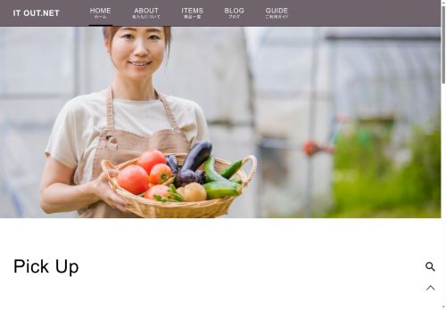 it-out.net capture - 2025-07-19 14:23:13