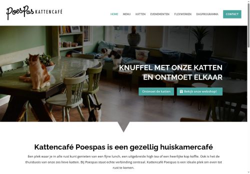 kattencafepoespas.net capture - 2025-07-19 18:34:19