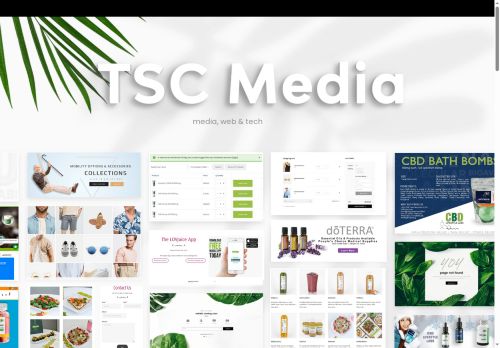 tscmedia.net capture - 2025-07-19 23:30:48