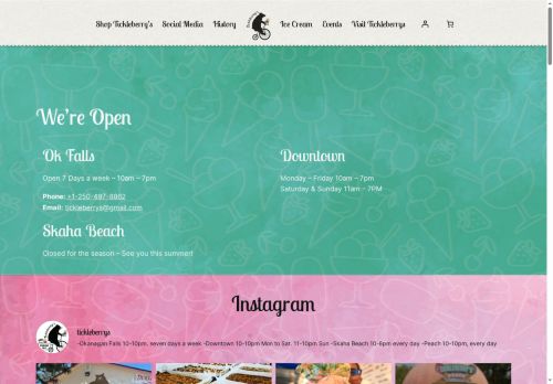 tickleberrys.net capture - 2025-07-20 00:40:10