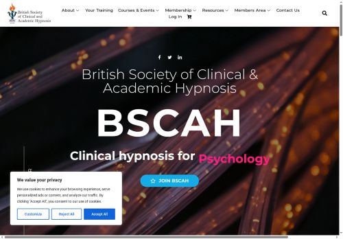 bscah.net capture - 2025-07-20 01:20:08