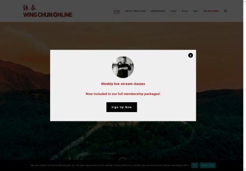 wingchunonline.net capture - 2025-07-20 01:39:36