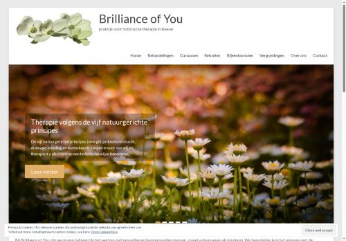 brillianceofyou.net capture - 2025-07-20 02:26:59