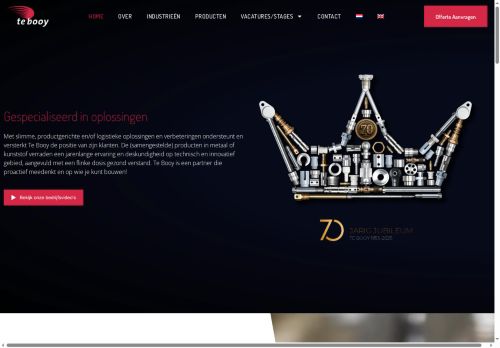 tebooy.net capture - 2025-07-20 06:57:10