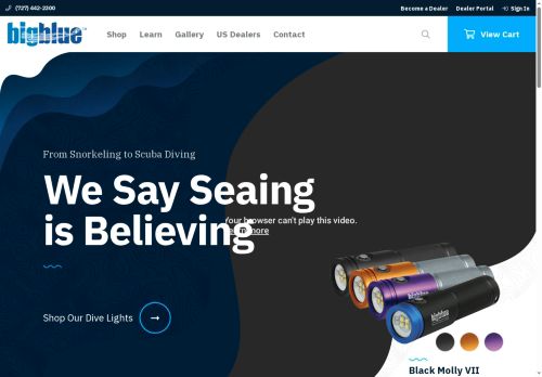 bigbluedivelights.net capture - 2025-07-20 09:42:27