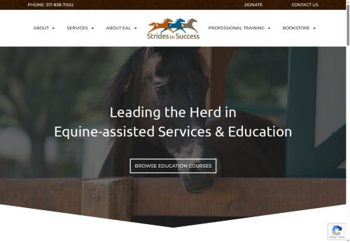 stridestosuccess.net capture - 2025-07-20 17:07:46