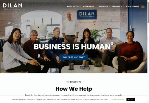 dilanconsulting.net capture - 2025-07-20 18:21:33