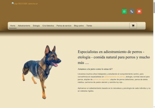 seccode.net capture - 2025-07-20 21:23:39