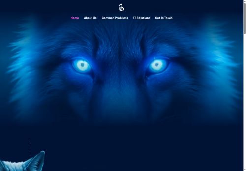 telecoaneuron.net capture - 2025-07-20 23:23:49