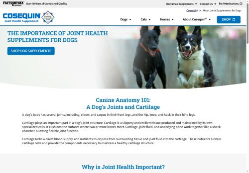 cosequinotc.net capture - 2025-07-21 01:25:58