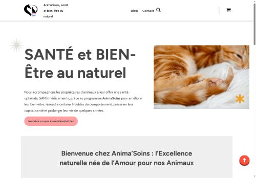 animasoins.info capture - 2025-07-21 05:32:00