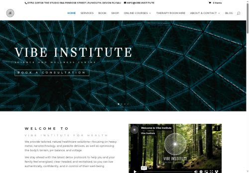 vibe.institute capture - 2025-07-21 06:23:07