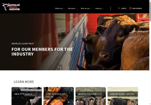 wagyu.international capture - 2025-07-21 06:40:51