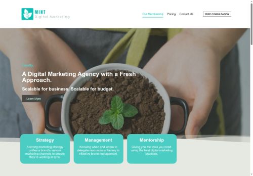 mintdigitalmarketing.io capture - 2025-07-21 06:50:38