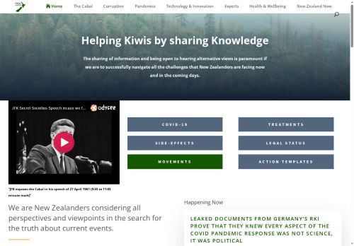 realinsight.kiwi capture - 2025-07-21 08:08:20