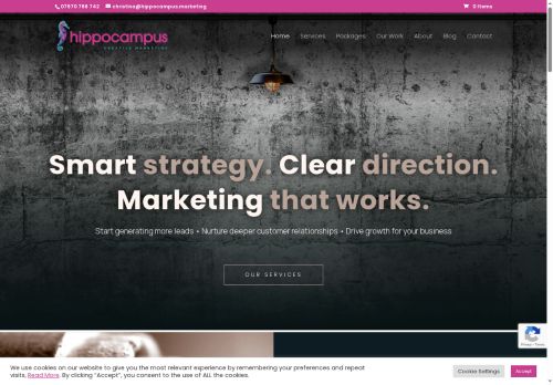 hippocampus.marketing capture - 2025-07-21 16:04:49