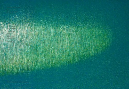 tateshima.net capture - 2025-07-21 20:16:32