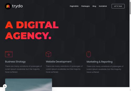 seopaslaugos.net capture - 2025-07-21 20:57:49