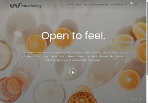 waterfeeling.net capture - 2025-07-21 23:17:48