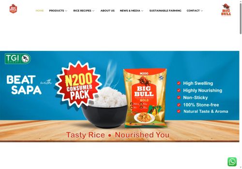 bigbullrice.shop capture - 2025-07-22 15:45:54