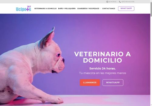 ucipets.com capture - 2025-07-23 07:27:31