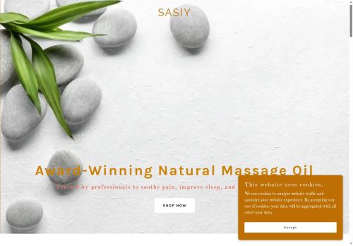 sasiyllc.com capture - 2025-07-23 09:53:58