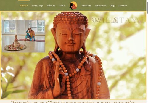 pantera-yoga.com capture - 2025-07-23 13:10:39