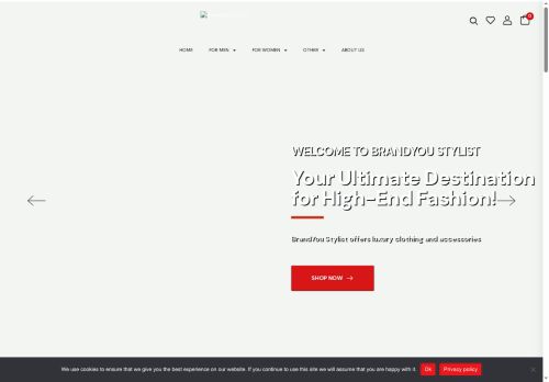 brandyoustylist.com capture - 2025-07-23 15:32:04