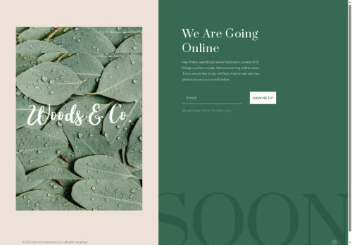 woodseventsandco.com capture - 2025-07-23 16:50:13