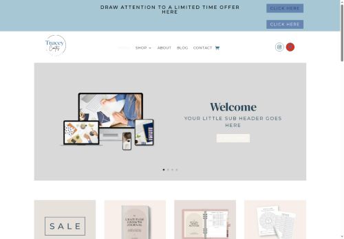 theworkingmomstoolkit.com capture - 2025-07-23 17:16:24