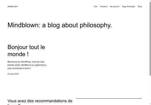 ainelle.com capture - 2025-07-23 19:06:26