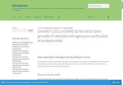 bricotal.com capture - 2025-07-24 14:23:09