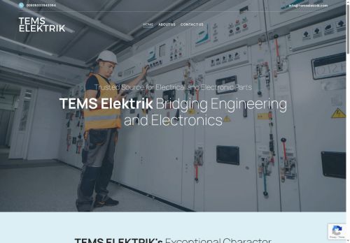 temselektrik.com capture - 2025-07-24 20:28:30