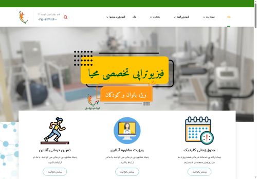 mahyaphysiotherapyclinic.com capture - 2025-07-24 22:28:34