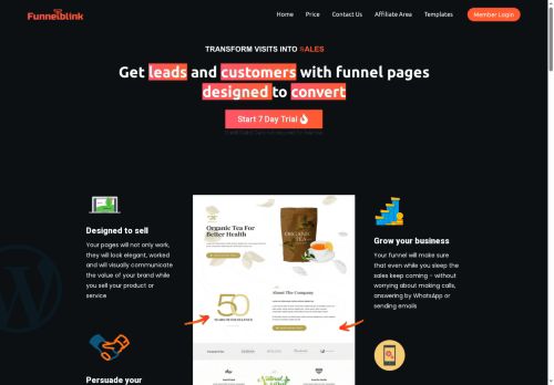 funnelblink.com capture - 2025-07-25 01:15:26