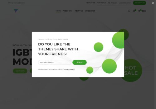 flippedflint.com capture - 2025-07-25 17:46:47