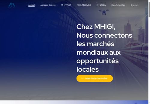 mhigi.com capture - 2025-07-25 19:06:20