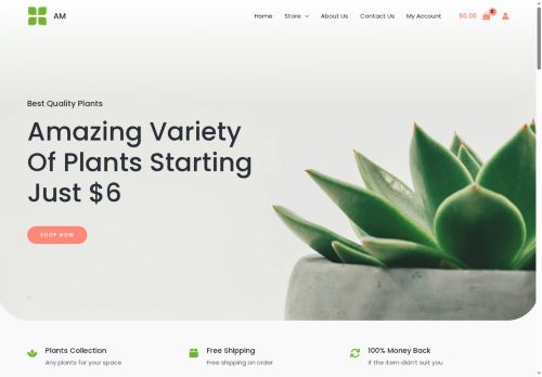 aangelicacmontesinos.com capture - 2025-07-25 19:48:10